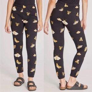 Wildfox Eclipse Knox Moth Jogger Pants s small